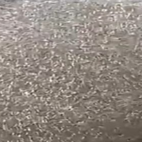 Phenolic SMC High fl